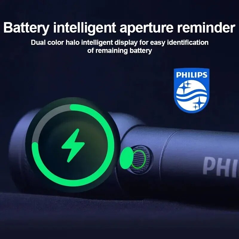 Linterna portátil Philips 6168 - Outdoor Lighting Philips reseña y precio