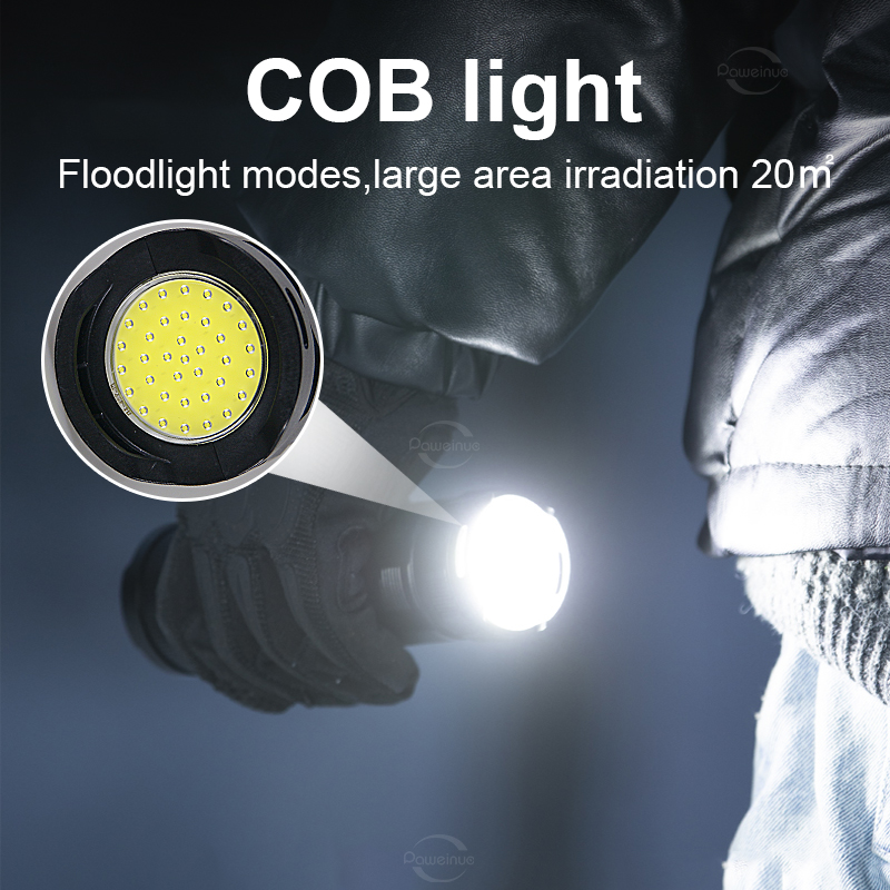 Linternas ultrapotentes de 990 - Outdoor Lighting Mains Powered reseña y precio