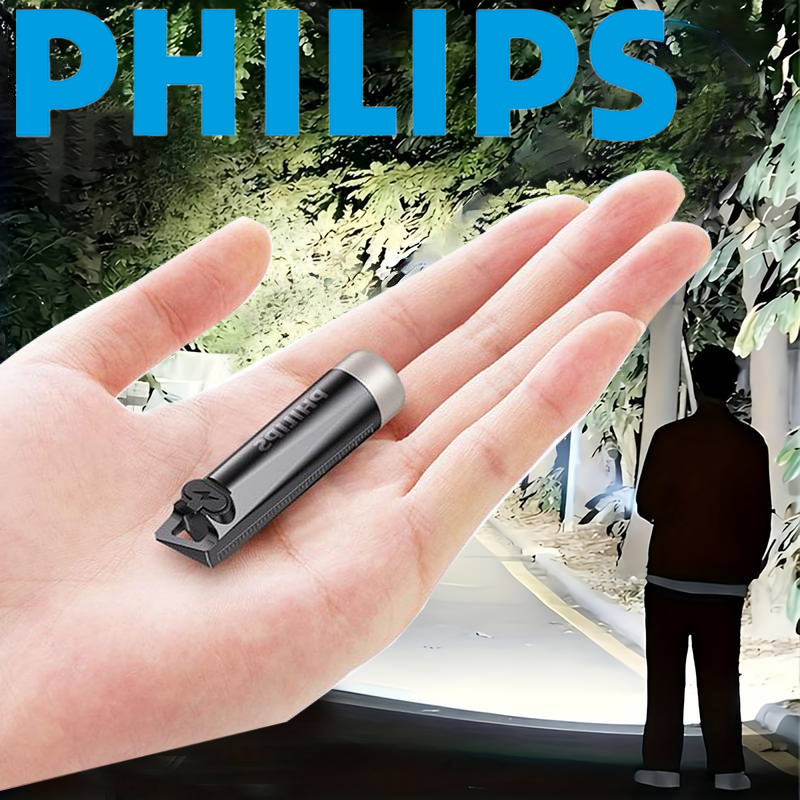 PHILIPS 2025 nuevo SFL1121 EDC - Outdoor Lighting Philips reseña y precio