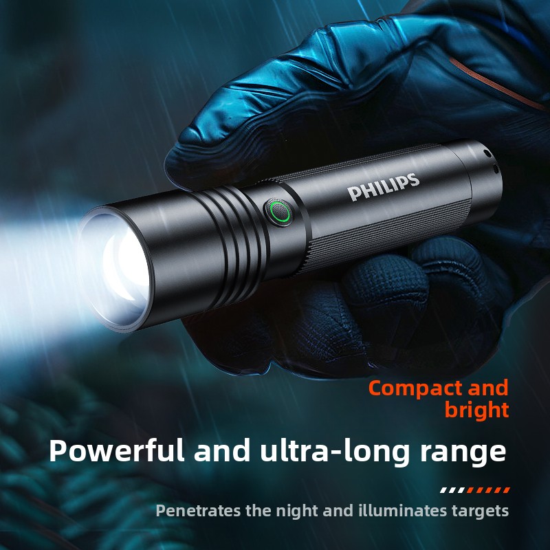 Linterna Philips SFL2146 para  - Outdoor Lighting Philips reseña y precio