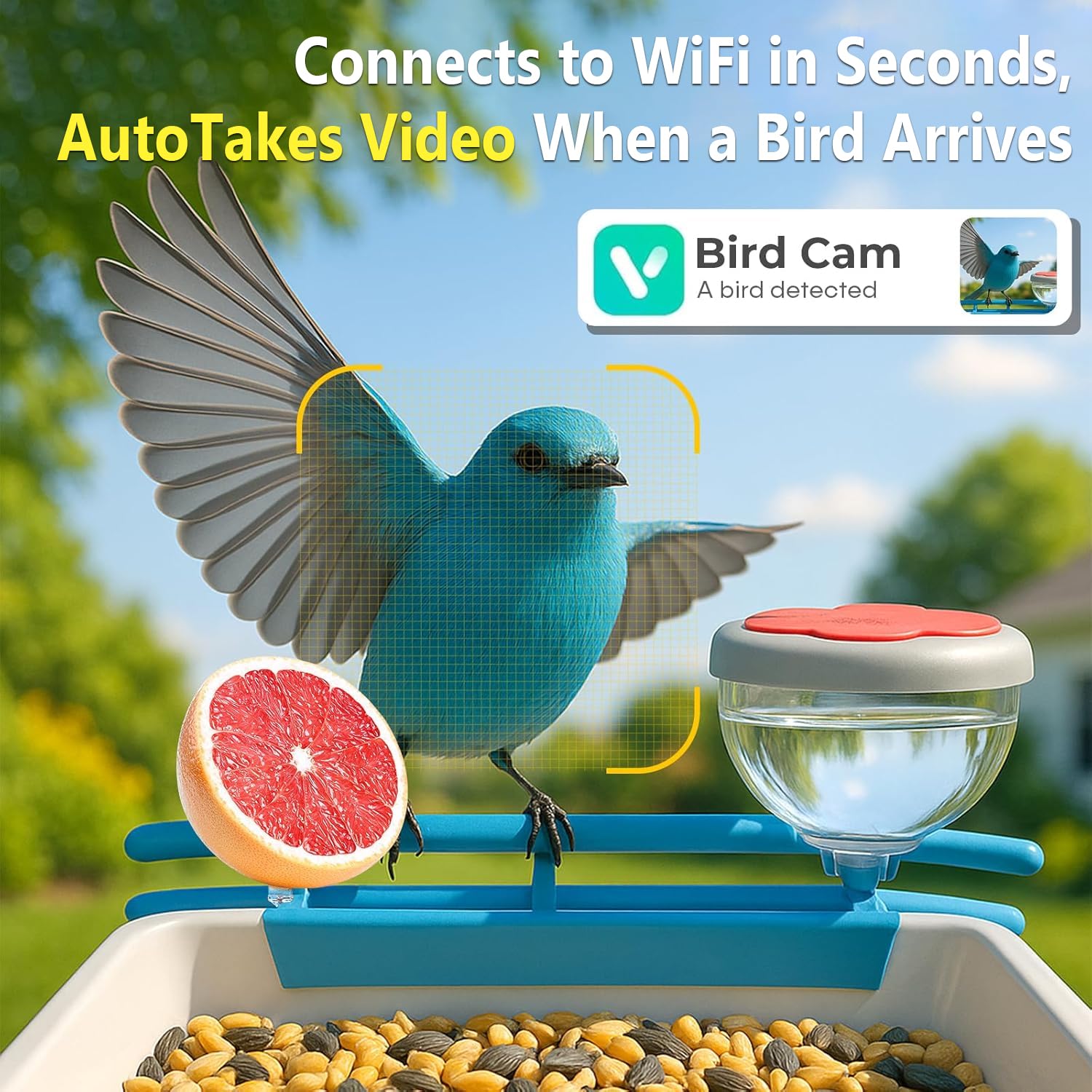 Comedero Inteligente para Pája - Motion Sensor Outdoor reseña y precio