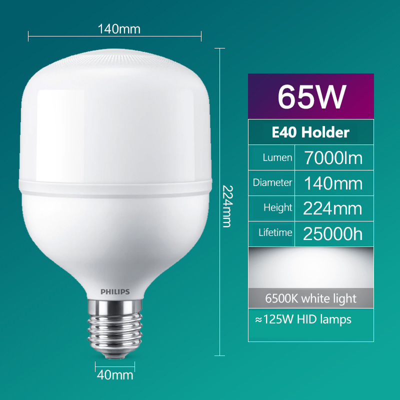 Philips LED T160 bombilla E40  - Outdoor Lighting Philips reseña y precio