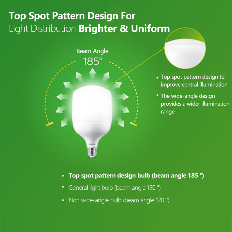 Philips LED T160 bombilla E40  - Outdoor Lighting Philips reseña y precio